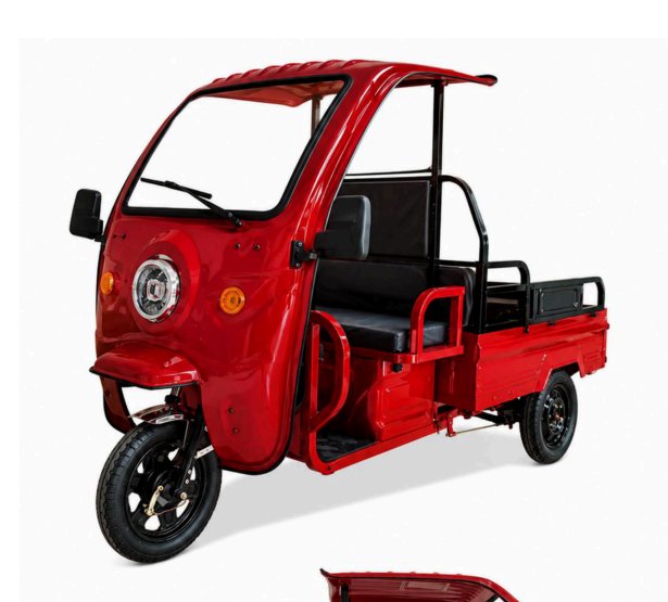 Electric & Gasoline Cargo Tricycles and TukTuk (GOLDENGO) — angle