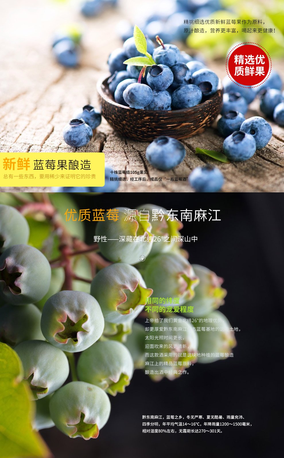 Kaiyuanchun Blueberry Wine & Blueberry Drinks — detail